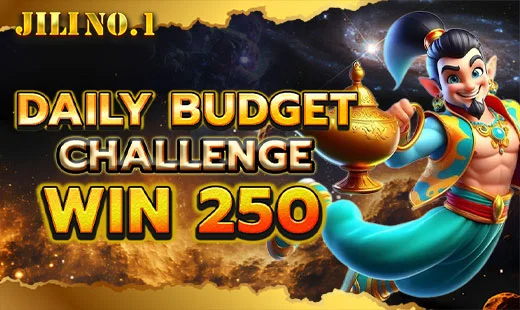 Daily Budget 250